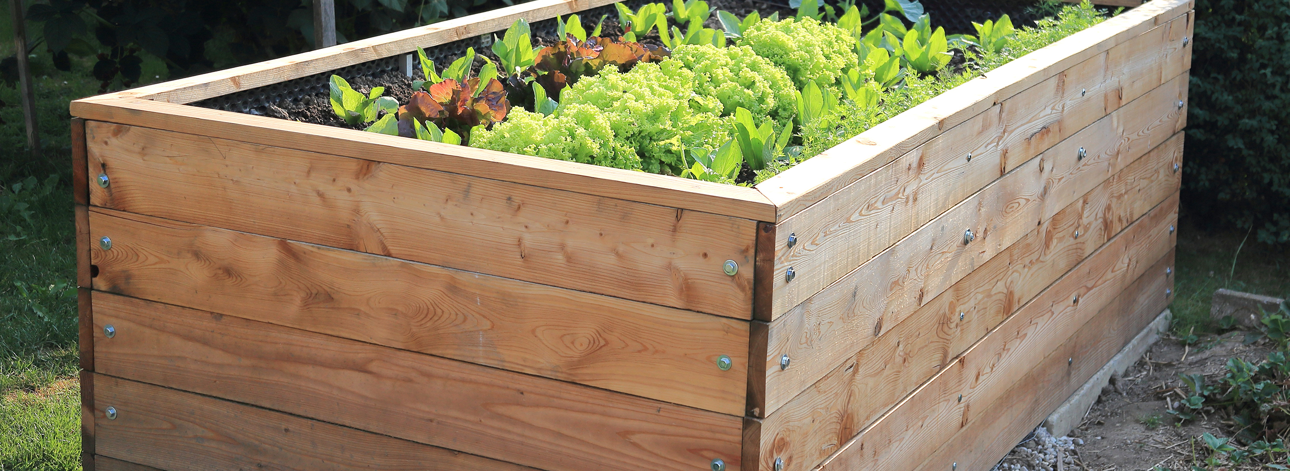 Hochbeet aus Holz, das mit verschiedenen Gemüsepflanzen bepflanzt ist.