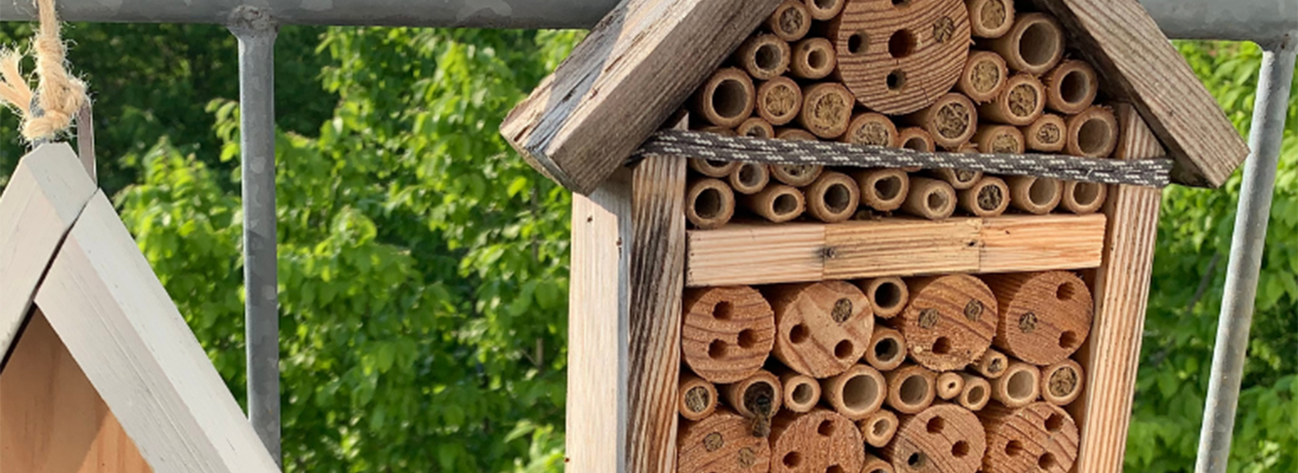 Insektenhotel aus Holz, das an einem Metallgeländer befestigt ist.