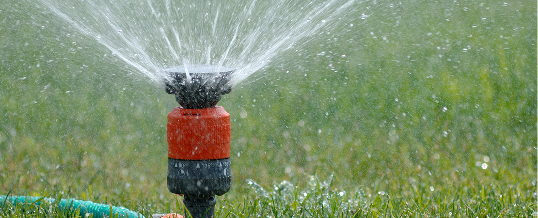 Ein rot-schwarzer Rasensprenger verteilt Wasserstrahlen gleichmäßig auf einer grünen Rasenfläche. Die Wassertropfen sind deutlich sichtbar und erzeugen eine erfrischende Atmosphäre.