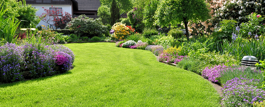 Blühender Hausgarten mit gepflegtem Rasen, bunt bepflanzten Beeten und verschiedenen Sträuchern und Bäumen. Symbolbild für Gärten in Deutschland.