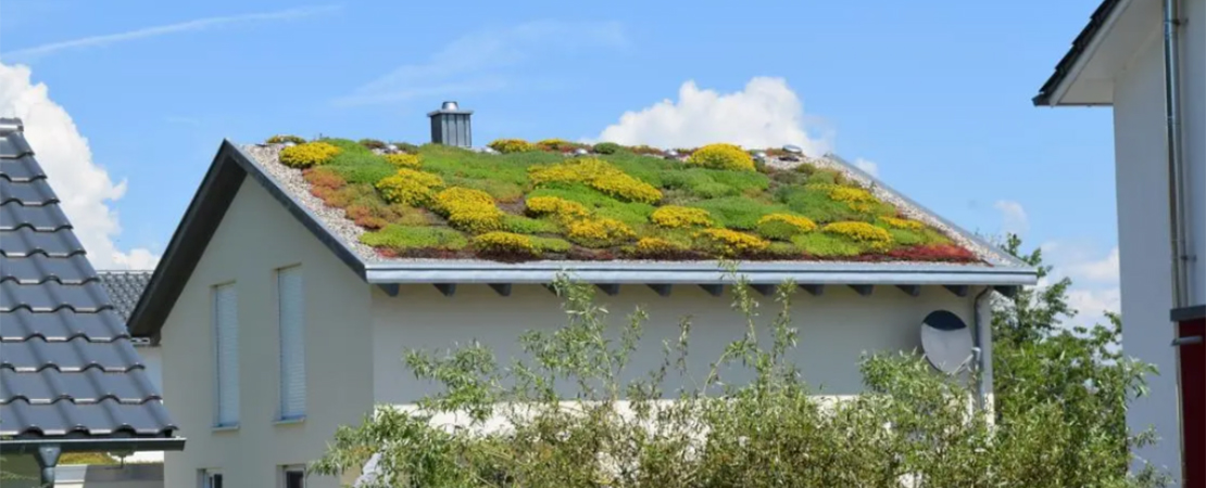 Haus mit Dachbegrünung. Verschiedene Pflanzen, vor allem Sedum-Arten, wachsen flächendeckend auf dem Dach und sorgen für eine farbenfrohe, naturnahe Optik. Symbolbild für: Gründach & Dachbegrünung