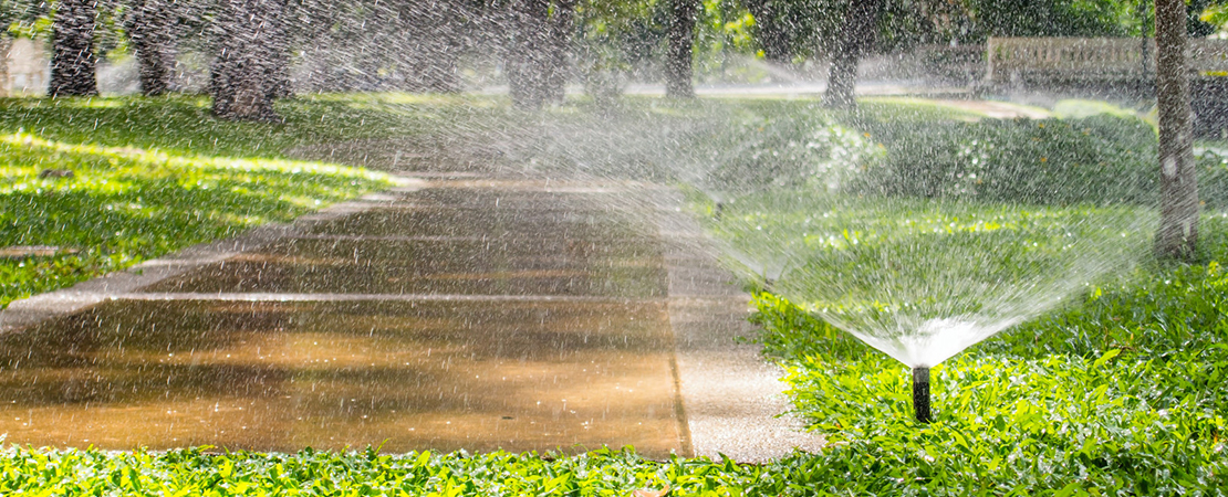 Im Bild sieht man eine automatische Beregnungsanlage, die den Rasen im Garten gleichmäßig bewässert. Symbolbild für: Gartenbewässerung.