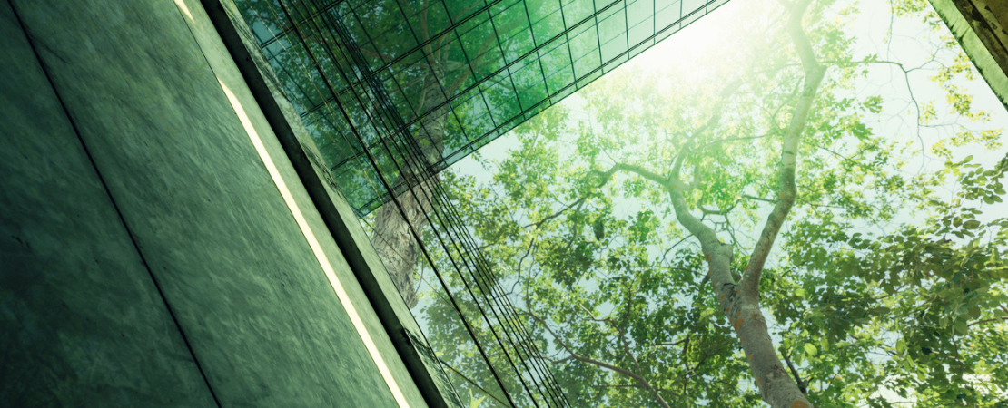 Blick von unten auf einen modernen Glasbau, der das Sonnenlicht reflektiert, während im Hintergrund grüne Bäume in den Himmel ragen. Das Bild symbolisiert den Zusammenhang zwischen urbaner Architektur und Natur sowie die Herausforderungen des Klimawandels und nachhaltigen Bauens.