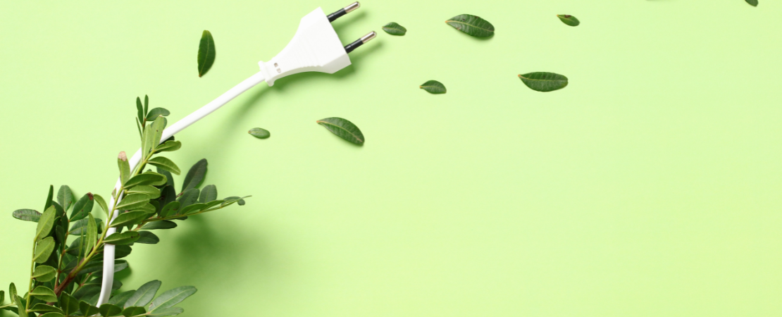 Weißer Stromstecker, der aus einem grünen Zweig wächst, auf einem hellgrünen Hintergrund. Symbolbild für Strom sparen, nachhaltige Stromversorgung und umweltfreundliche Technologien.