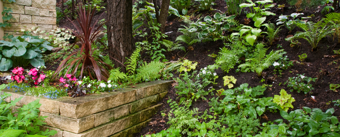 Begrünte Hanglage mit verschiedenen Schattenpflanzen, Farnen und blühenden Stauden in einem naturnahen Garten. Eine dekorative Natursteinmauer mit bunten Blumenbeeten sorgt für Struktur. Symbolbild für nachhaltige Gartengestaltung und schattige Gartenbereiche.