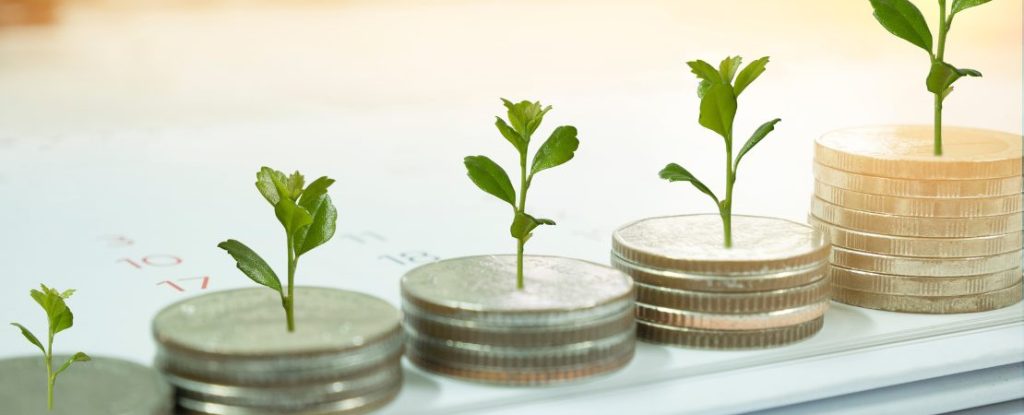 Clever fördern lassen