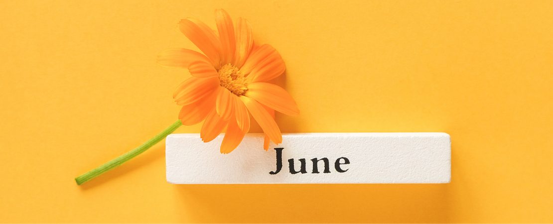 Neues im Juni